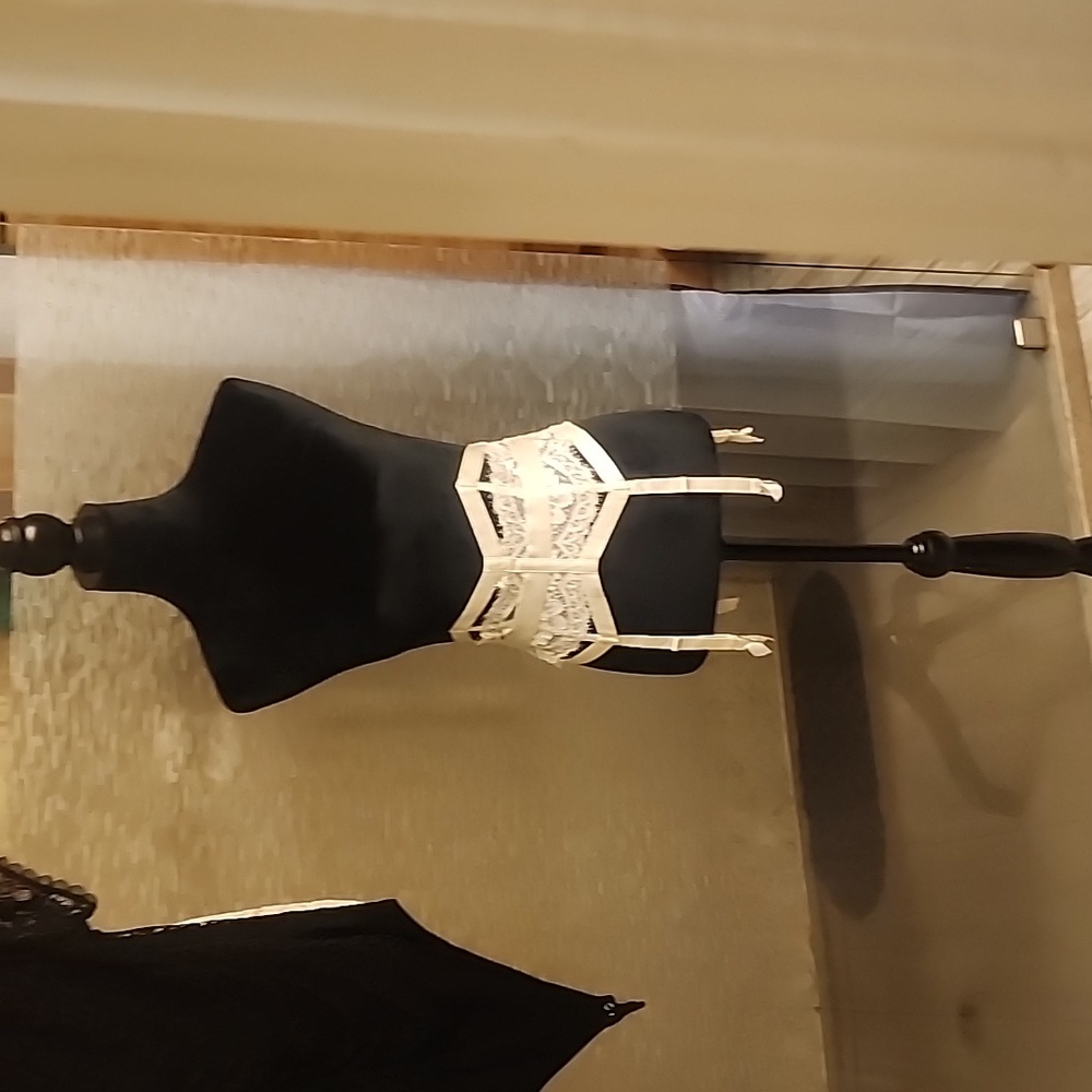 Victoria's Secret waist cincher/garder belt